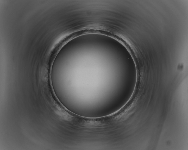 X0000094911115200711291249