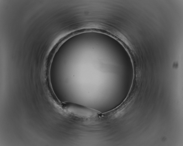 X0000094911116200711291249
