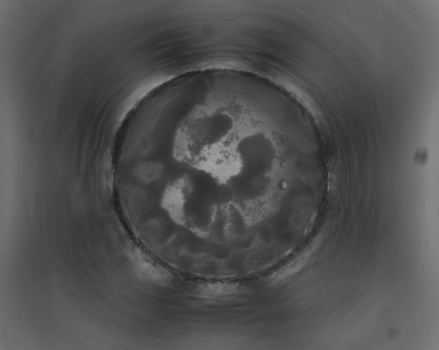 X0000094911117200711291249