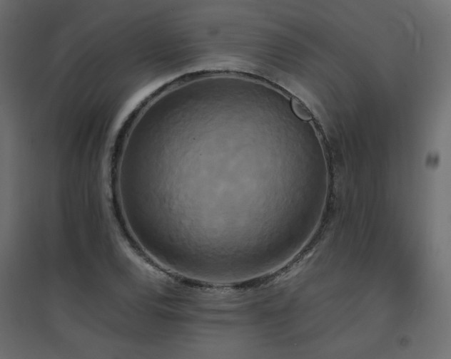 X0000094911120200711291249