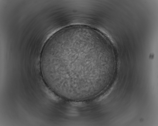 X0000094911121200711291249