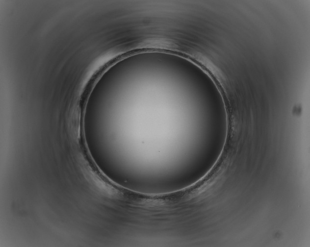 X0000094911123200711291249