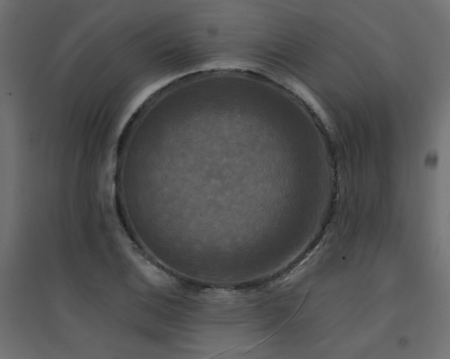 X0000094911124200711291249