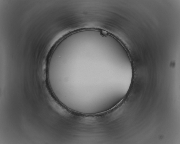 X0000094911126200711291249