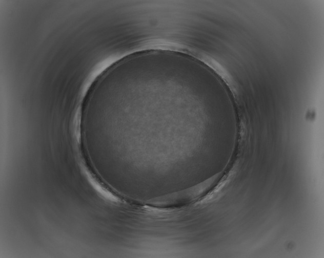 X0000094911128200711291249