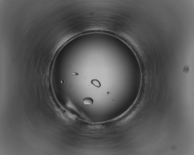 X0000094911129200711291249