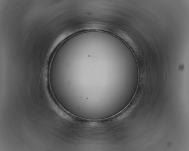X0000094911130200711291249