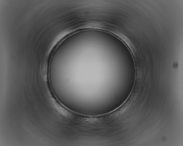 X0000094911131200711291249