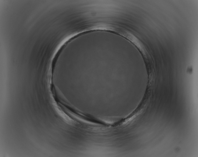 X0000094911132200711291249