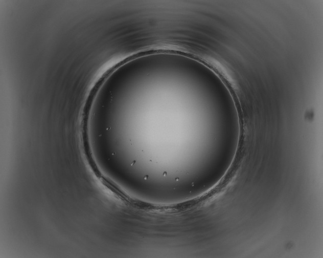 X0000094911133200711291249