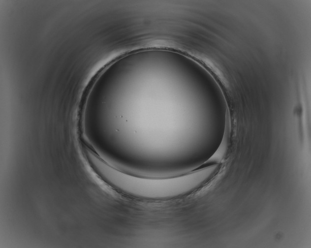X0000094911134200711291249