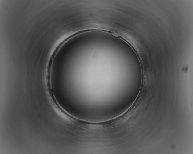 X0000094911136200711291249