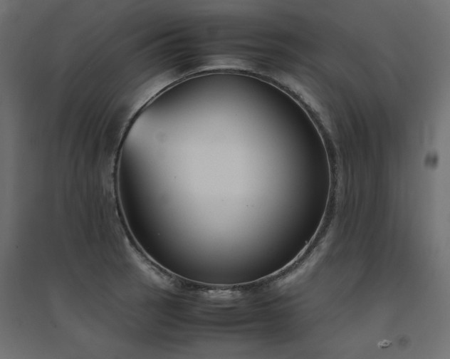 X0000094911137200711291249