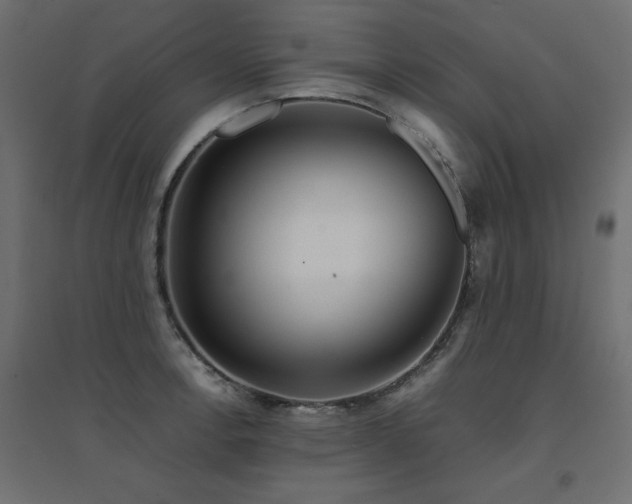 X0000094911138200711291249