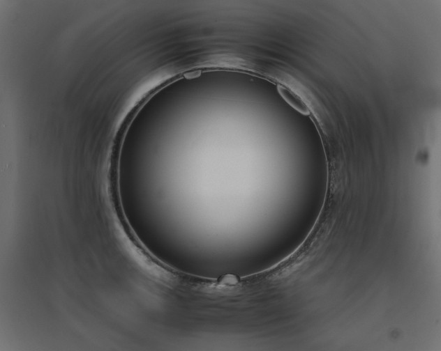 X0000094911139200711291249