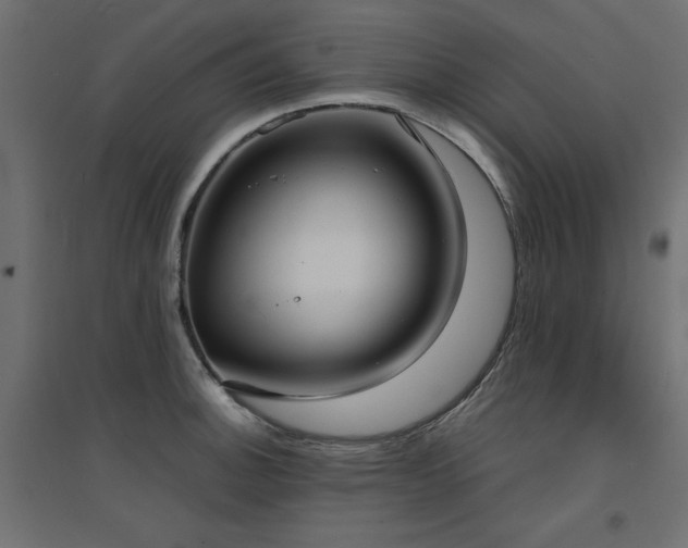 X0000094911140200711291249
