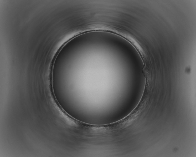 X0000094911142200711291249