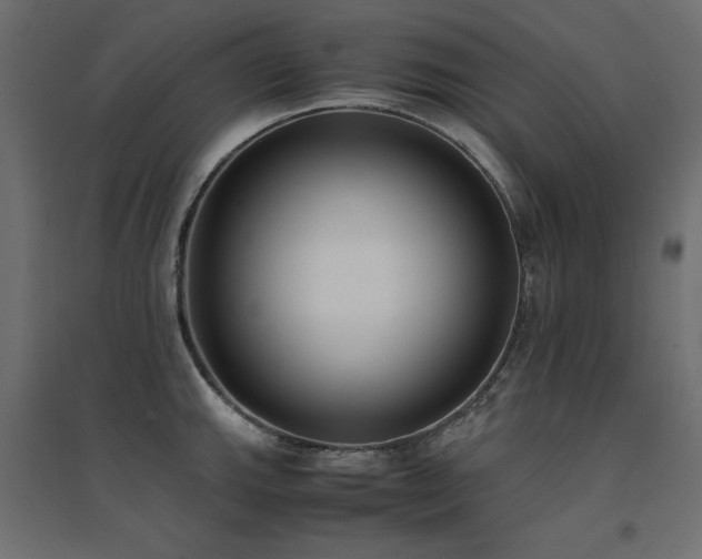 X0000094911143200711291249