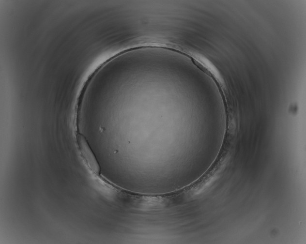 X0000094911144200711291249