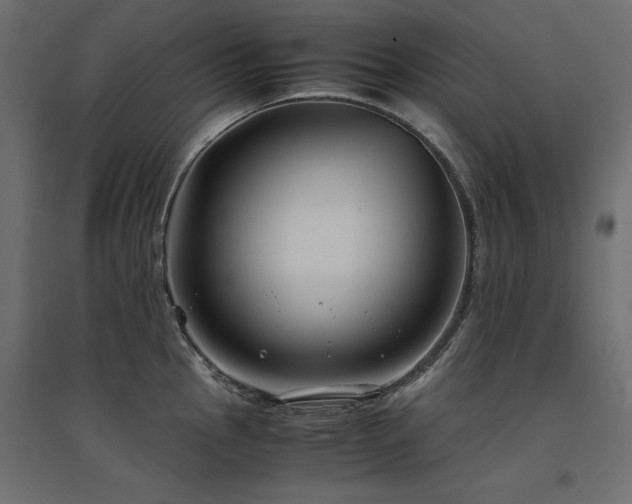 X0000094911145200711291249