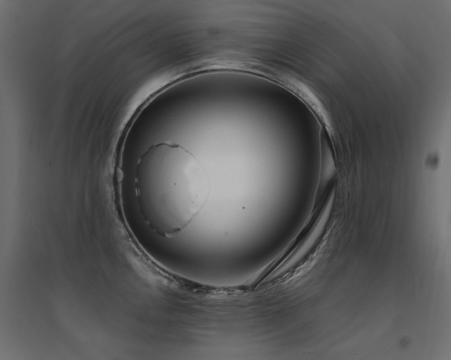 X0000094911146200711291249