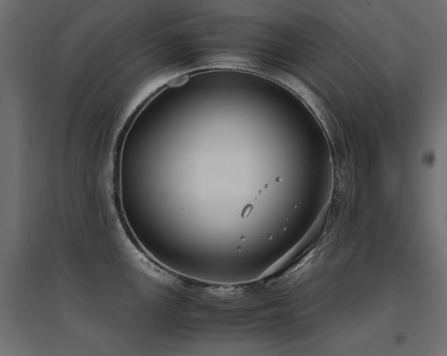 X0000094911147200711291249