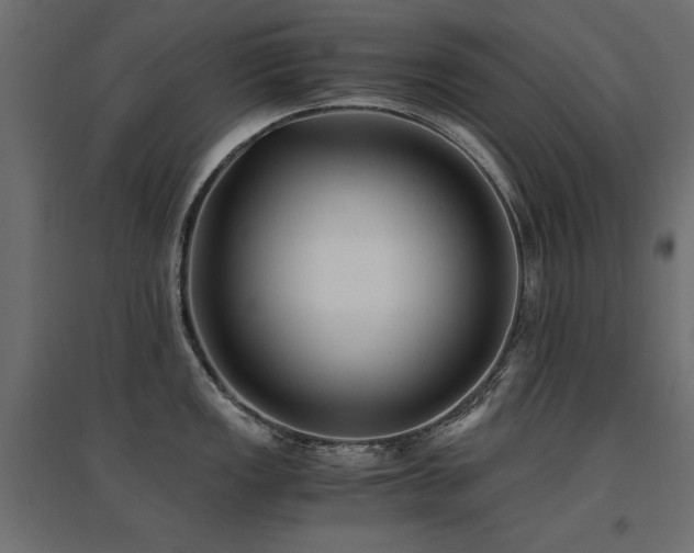 X0000094911149200711291249