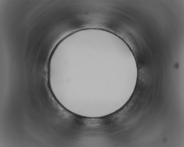 X0000094911150200711291249