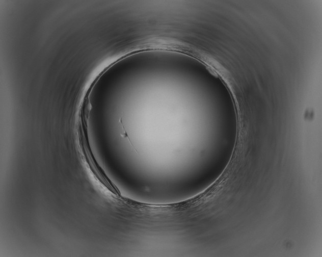 X0000094911152200711291249