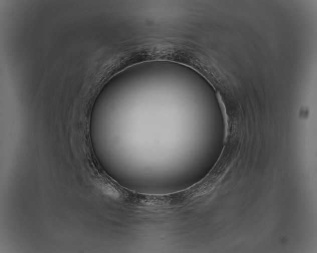 X0000094911153200711291249