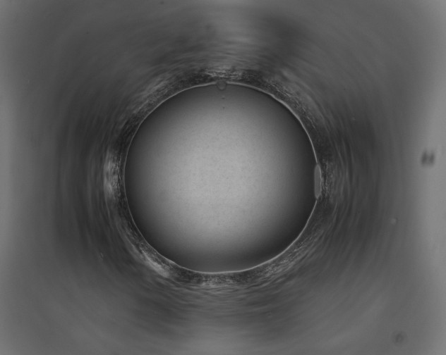 X0000094911154200711291249