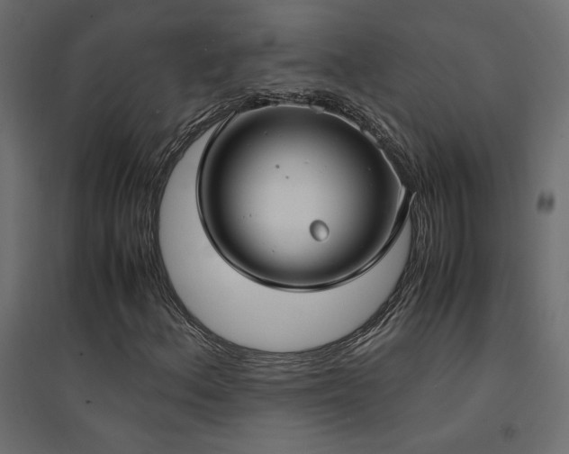 X0000094911156200711291249