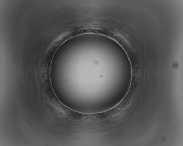 X0000094911159200711291249
