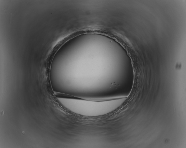 X0000094911160200711291249