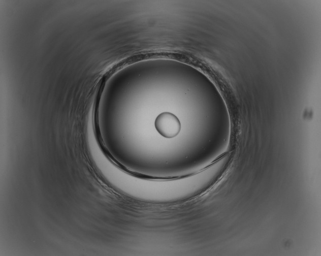 X0000094911161200711291249