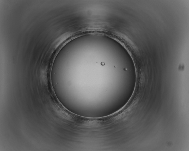 X0000094911162200711291249