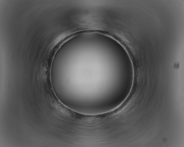 X0000094911163200711291249