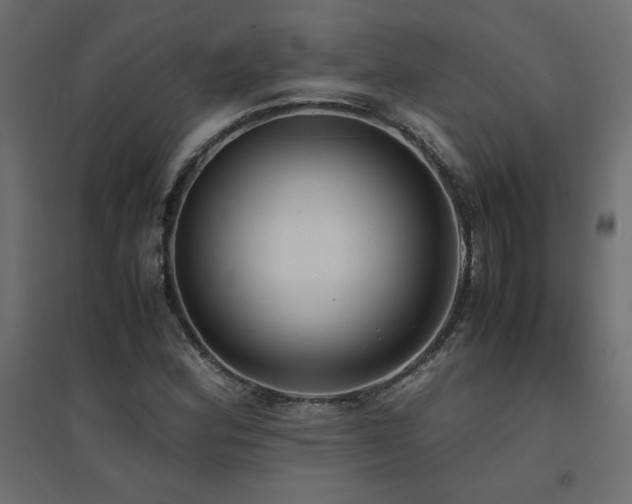 X0000094911164200711291249
