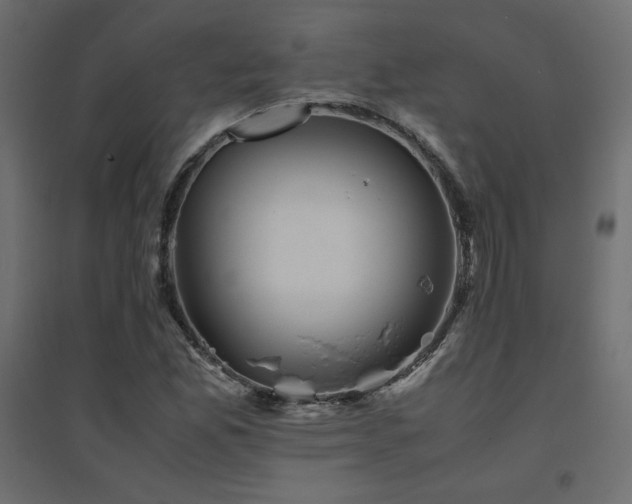 X0000094911165200711291249