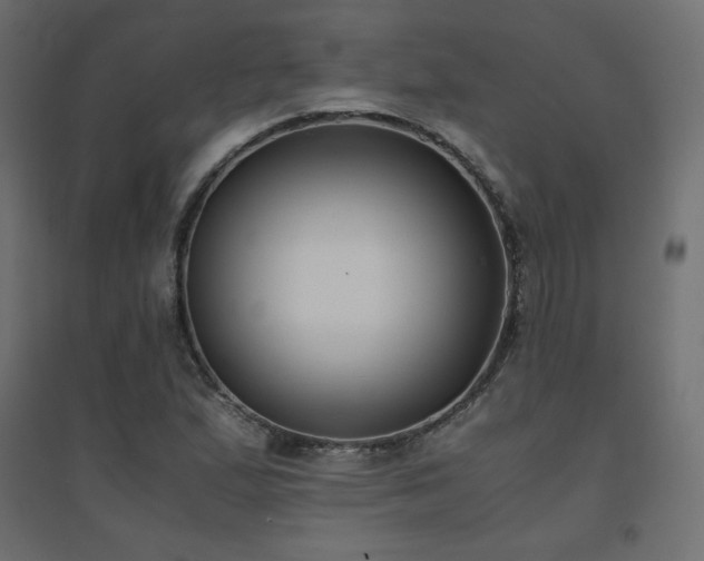 X0000094911167200711291249