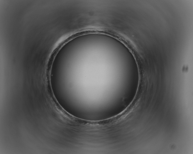 X0000094911168200711291249