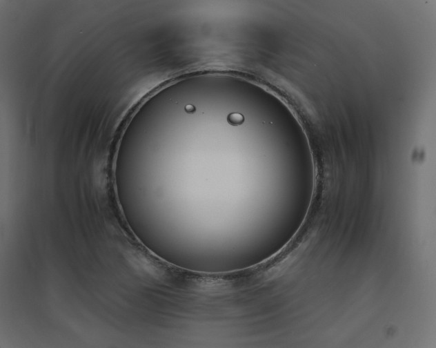X0000094911170200711291248