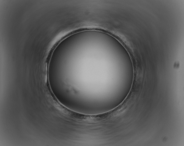 X0000094911175200711291248