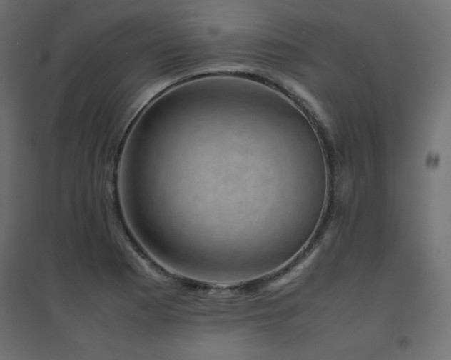 X0000094911177200711291248