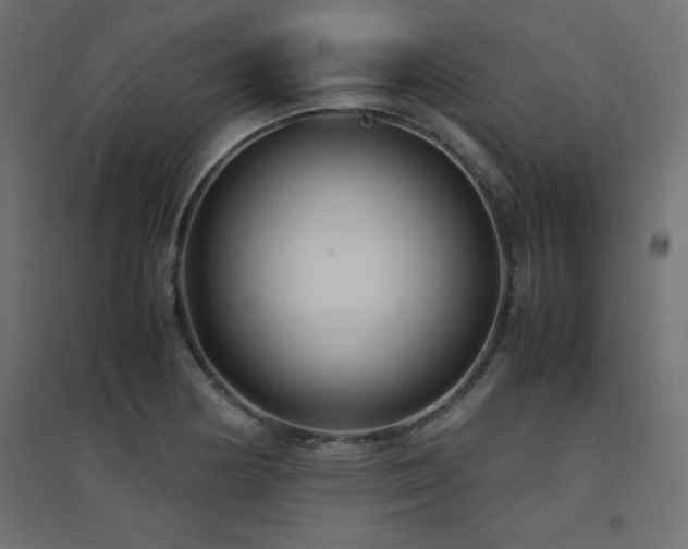 X0000094911178200711291248