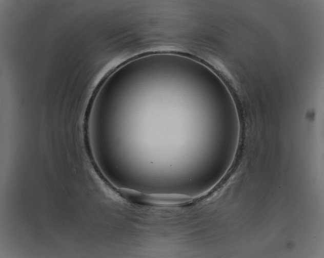X0000094911181200711291248