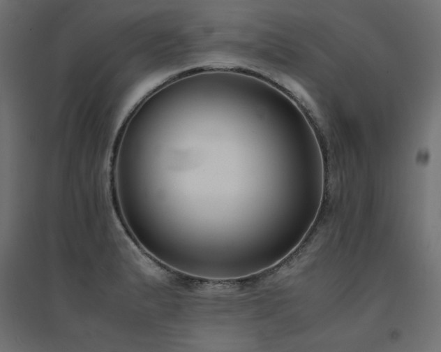 X0000094911183200711291248