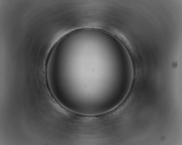 X0000094911184200711291248