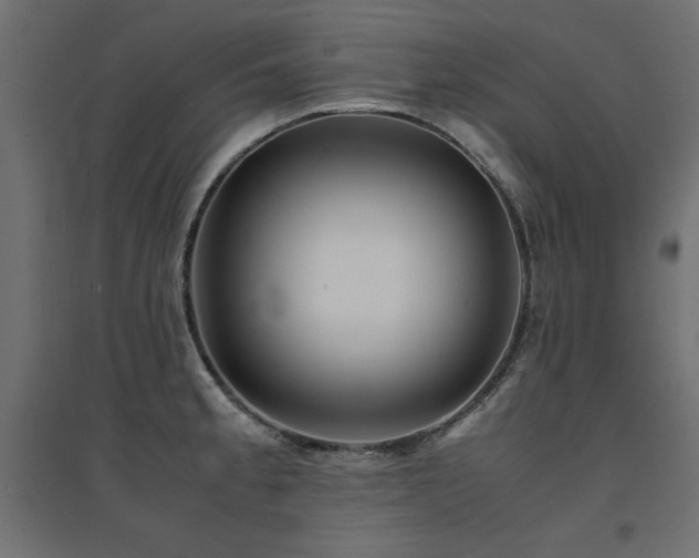 X0000094911189200711291248