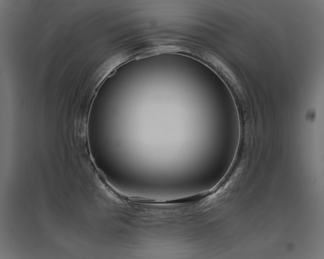 X0000094911193200711291248